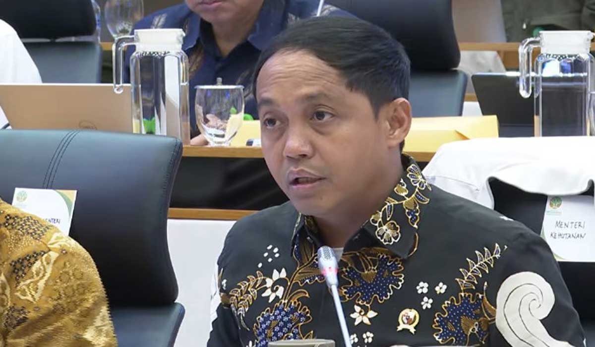 Prabowo Murka! Perusahaan Hutan Nakal Siap-Siap Cabut Izin!