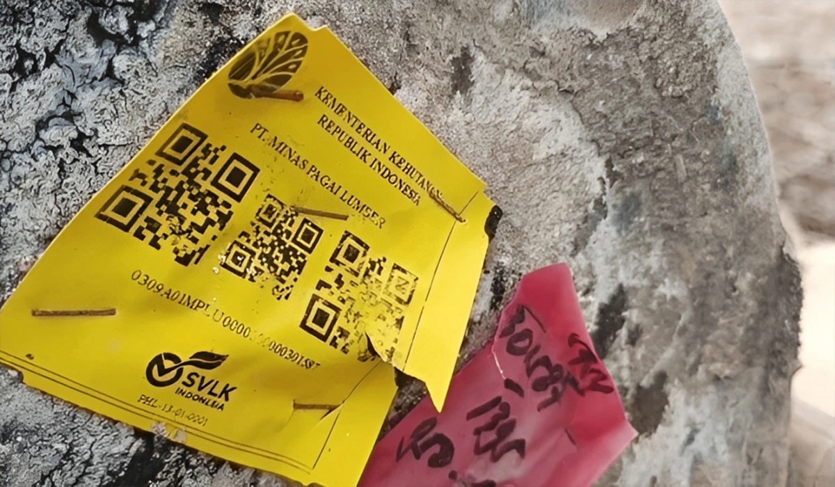 Kemenhut Beri Klarifikasi, Temuan Kayu Berstiker di Pesisir Lampung